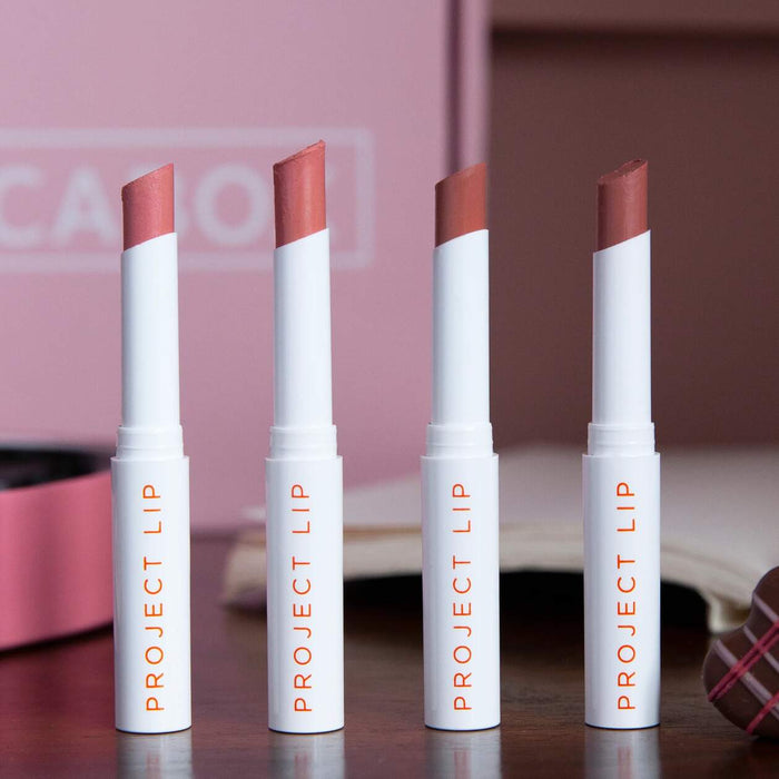 February 2021 Sneak Peek: Project Lip