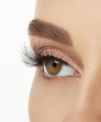 ROCCABOX The Power Lash Edit (Worth £38)