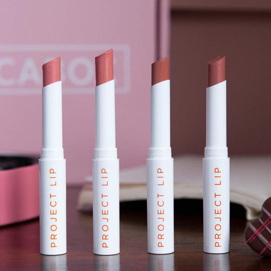 February 2021 Sneak Peek: Project Lip