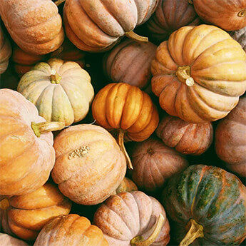 Autumn pumpkin skincare tips